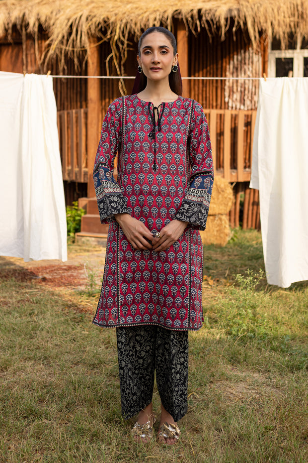 Riham 2Pc - Printed Khaddar Dress