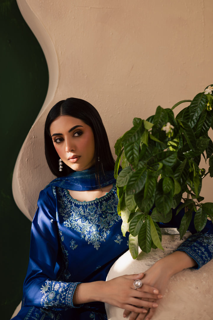 Falafel 3Pc - Embroidered Solid Dress - BATIK