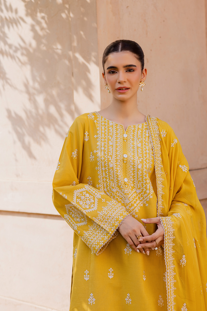 Lambo 3Pc - Embroidered Khaddar Dress