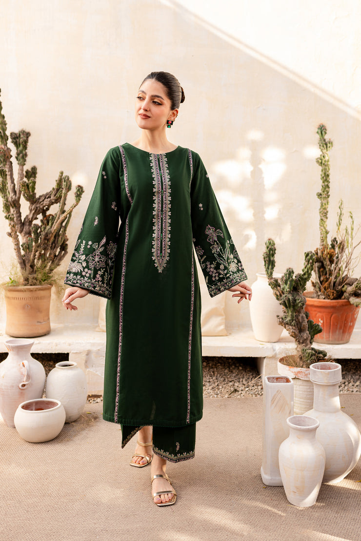 Derain 2Pc - Embroidered Khaddar Dress - BATIK