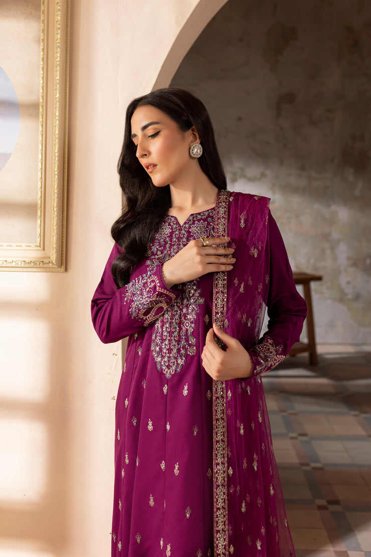 Astro 3Pc - Embroidered Khaddar Dress