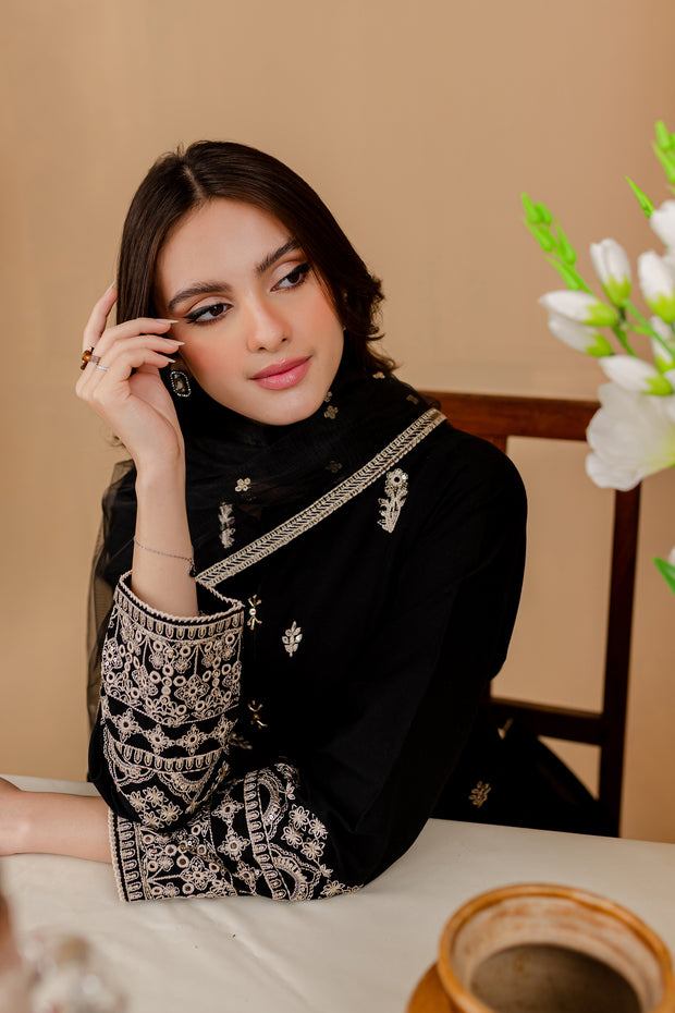 Black Aaira 3Pc - Embroidered Khaddar Dress