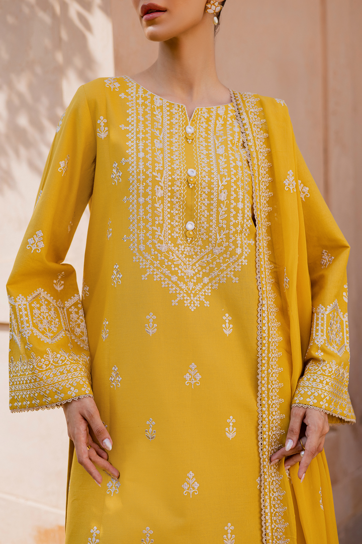 Lambo 3Pc - Embroidered Khaddar Dress