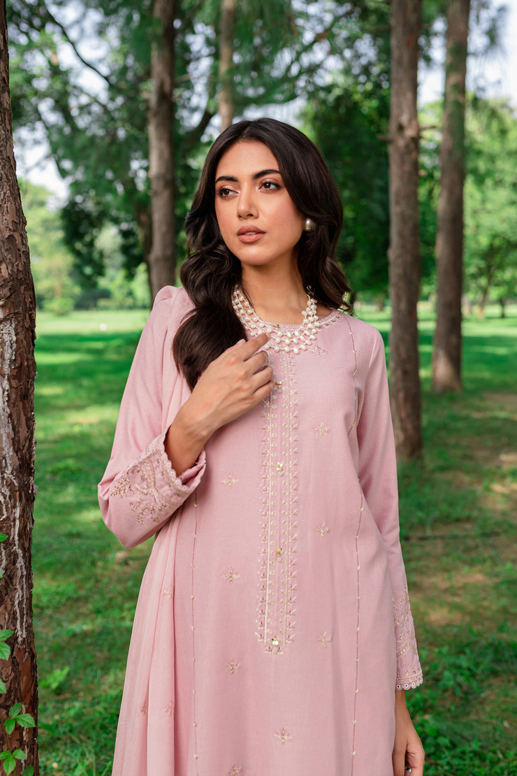 Script 3Pc - Embroidered Karandi Dress - BATIK