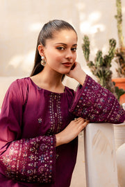 Paxton 2Pc - Embroidered Karandi Dress - BATIK