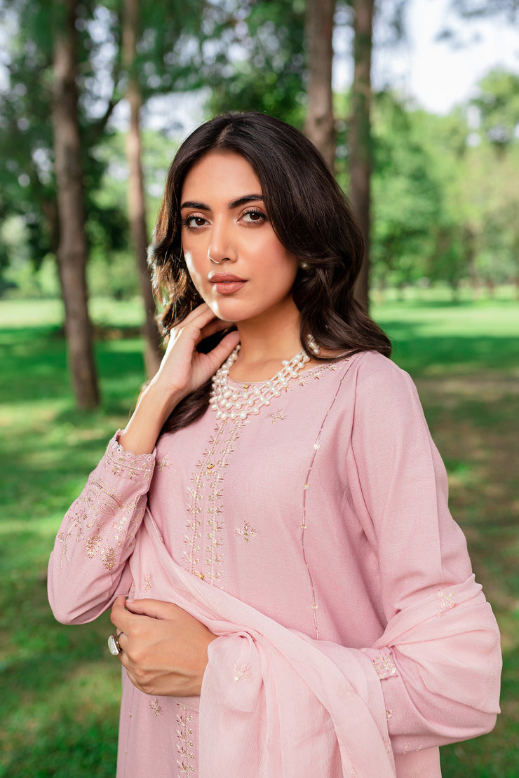 Script 3Pc - Embroidered Karandi Dress - BATIK