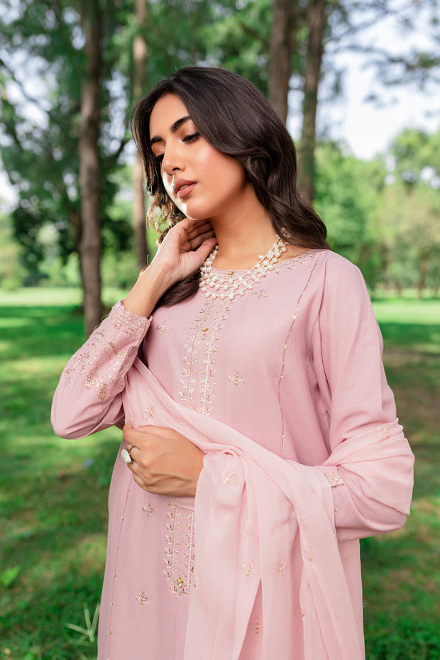 Script 3Pc - Embroidered Karandi Dress - BATIK