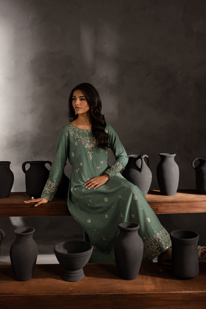 Robin 2Pc - Embroidered Karandi dress - BATIK