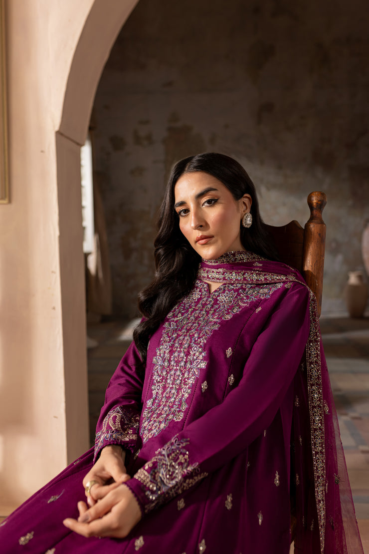 Astro 3Pc - Embroidered Khaddar Dress