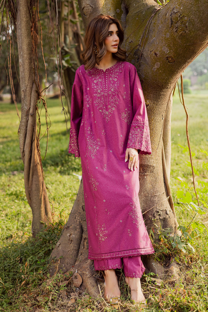 Eyter 2Pc - Embroidered Karandi Dress