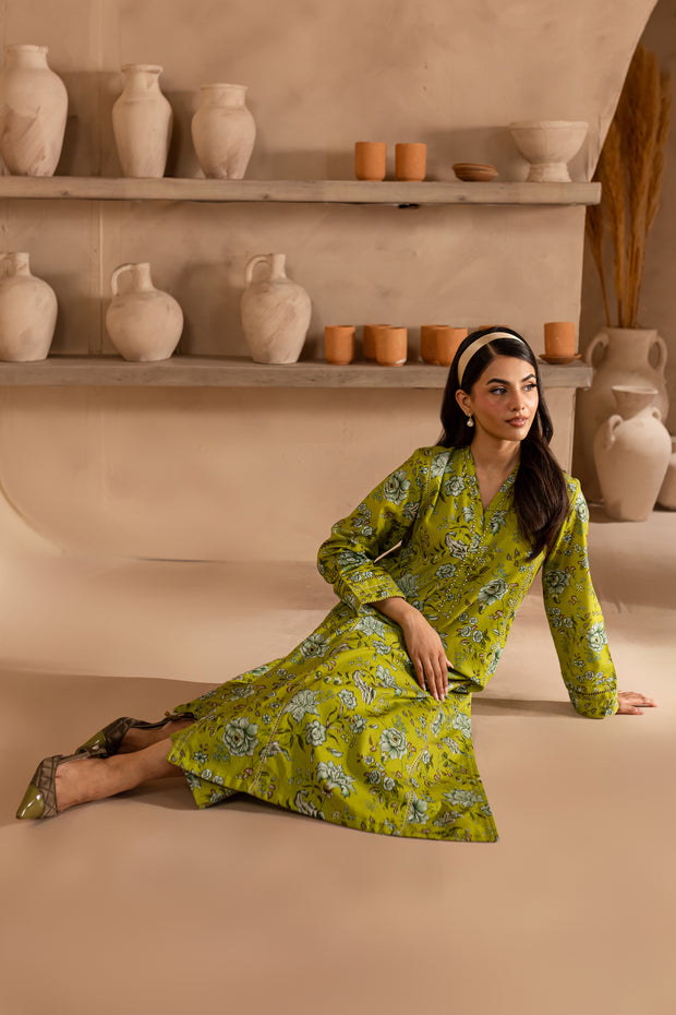 Caleb 2Pc - Printed Khaddar Dress