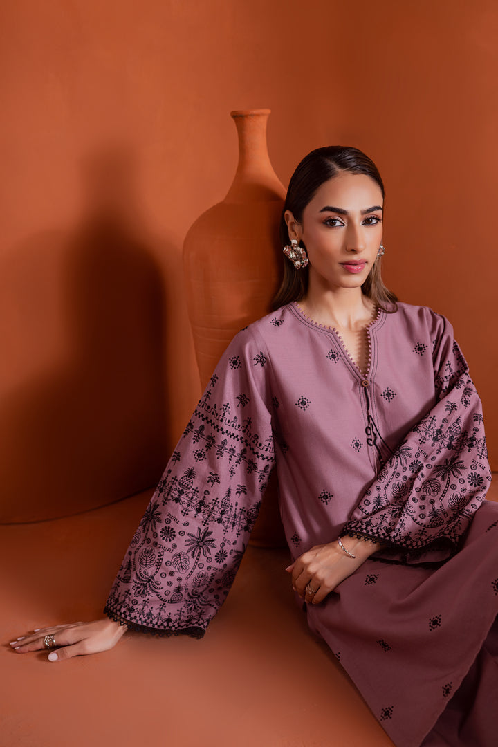 Pitch 2Pc - Embroidered Khaddar Dress