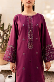 Paxton 2Pc - Embroidered Karandi Dress - BATIK