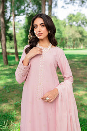 Script 3Pc - Embroidered Karandi Dress - BATIK