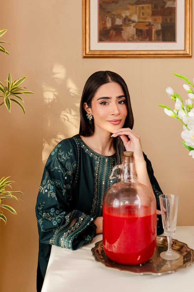 Svoy 2Pc - Embroidered Karandi Dress