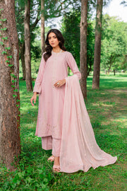 Script 3Pc - Embroidered Karandi Dress - BATIK