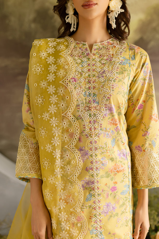 Gleam 3Pc - Printed Lawn Dress