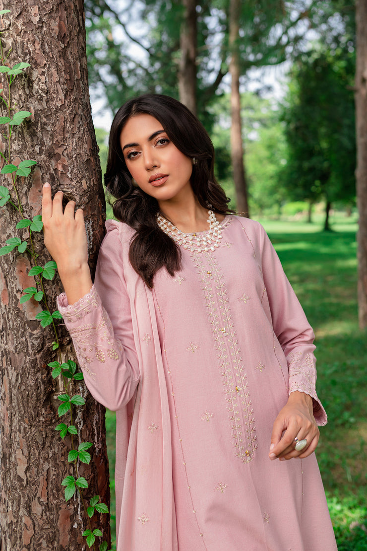Script 3Pc - Embroidered Karandi Dress - BATIK