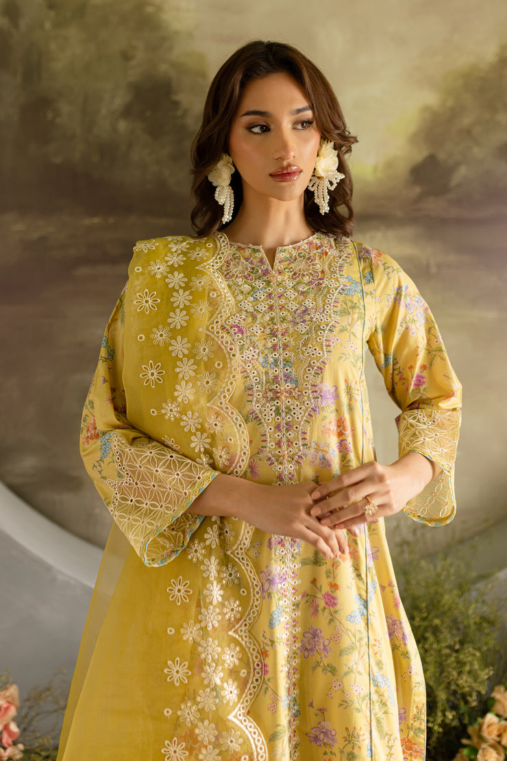 Gleam 3Pc - Printed Lawn Dress