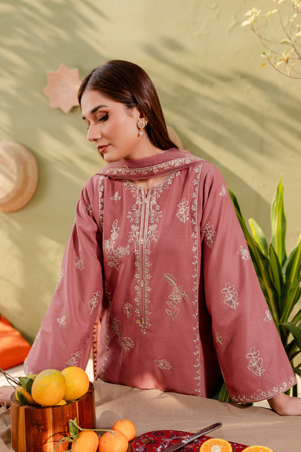 Ayhan 3Pc - Embroidered Karandi Dress - BATIK