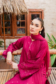Naira  3Pc - Embroidered Karandi Dress - BATIK