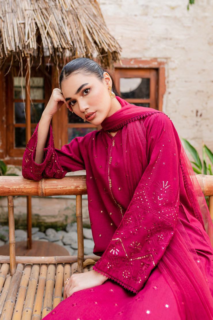 Naira  3Pc - Embroidered Karandi Dress - BATIK