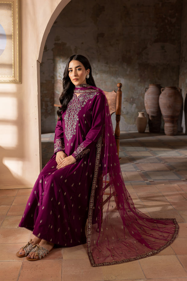 Astro 3Pc - Embroidered Khaddar Dress