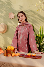 Ayhan 3Pc - Embroidered Karandi Dress - BATIK