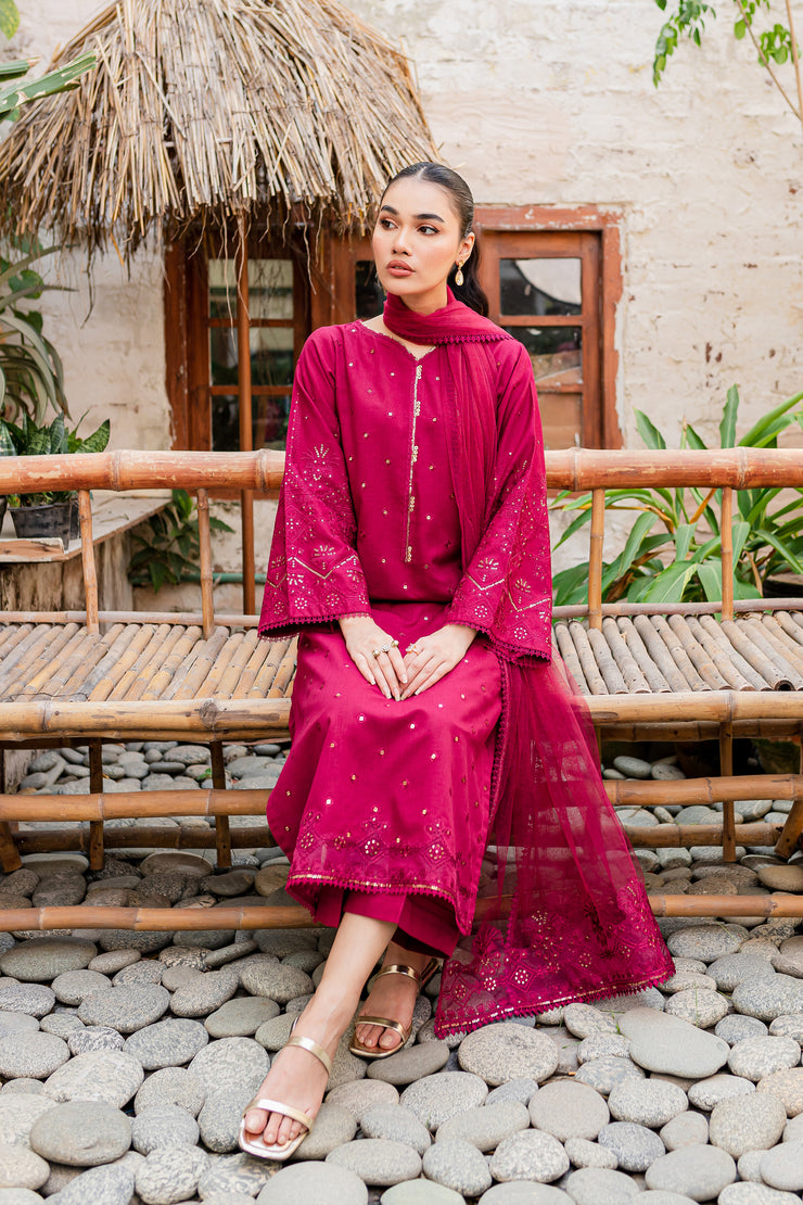Naira  3Pc - Embroidered Karandi Dress - BATIK