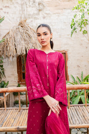 Naira  3Pc - Embroidered Karandi Dress - BATIK