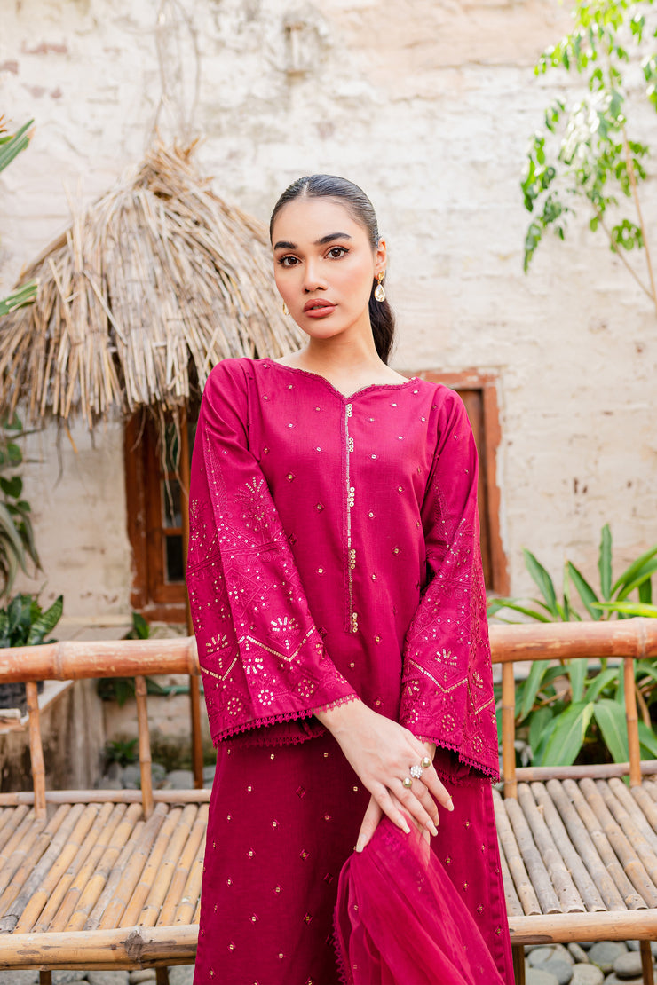 Naira  3Pc - Embroidered Karandi Dress - BATIK