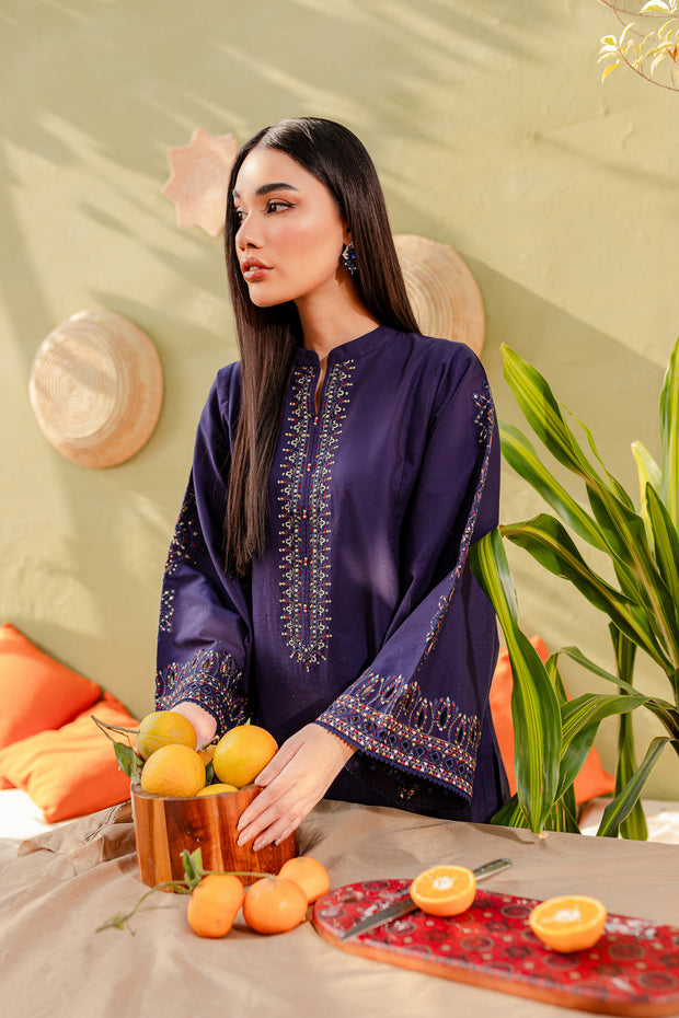 Ash 2Pc - Embroidered Khaddar Dress - BATIK
