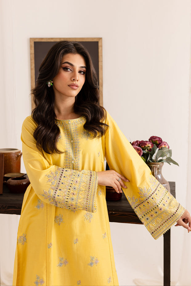 Diyar 2Pc - Embroidered Lawn Dress