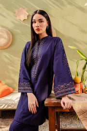 Ash 2Pc - Embroidered Khaddar Dress - BATIK