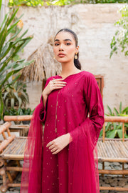 Naira  3Pc - Embroidered Karandi Dress - BATIK