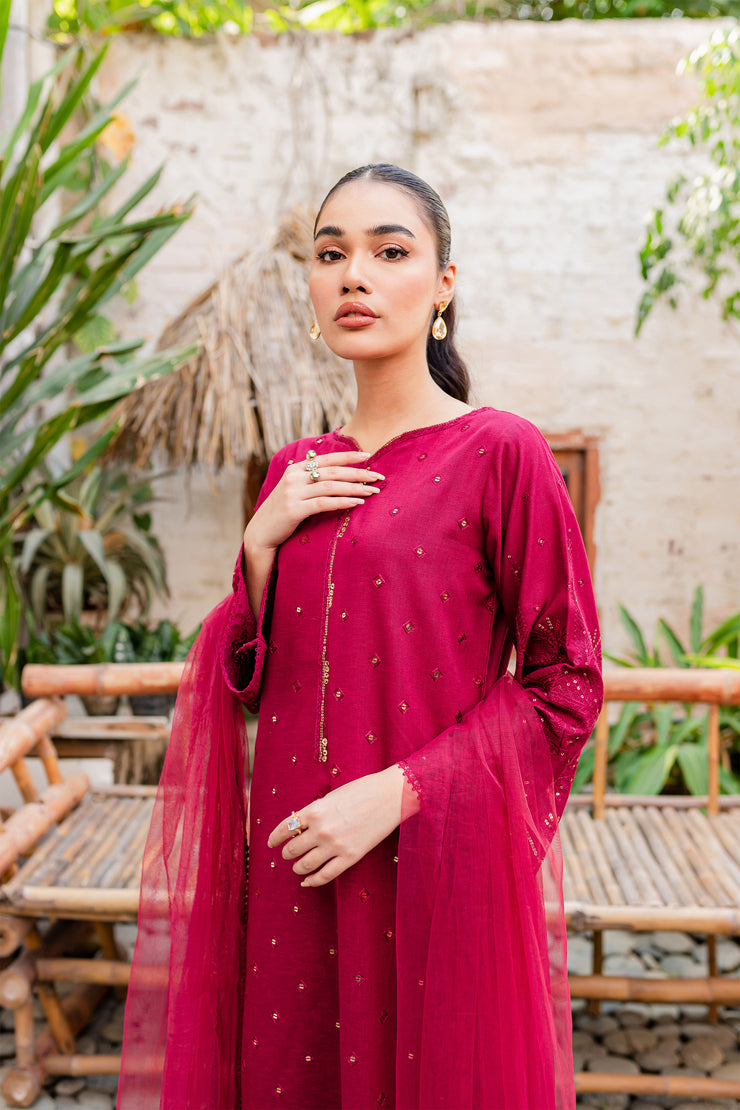 Naira  3Pc - Embroidered Karandi Dress - BATIK