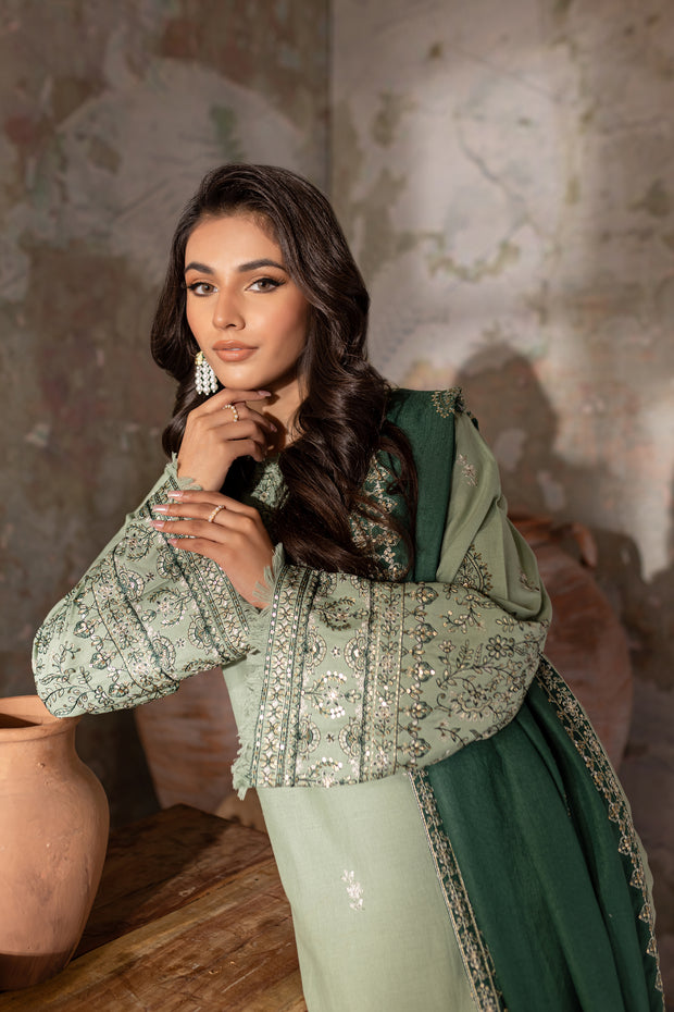 Amy 3Pc - Embroidered Khaddar Dress