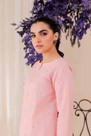 Pink Stripes 2Pc - Embroidered Jacquard Dress - BATIK