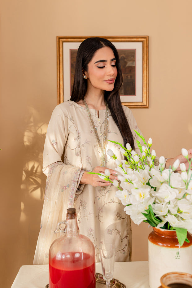 Aylin 3Pc - Embroidered Karandi Dress
