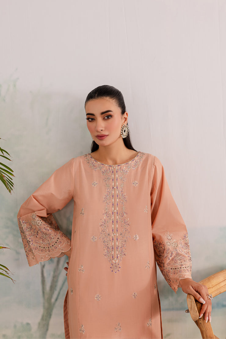 Rubeus 2Pc - Embroidered Lawn Dress - BATIK