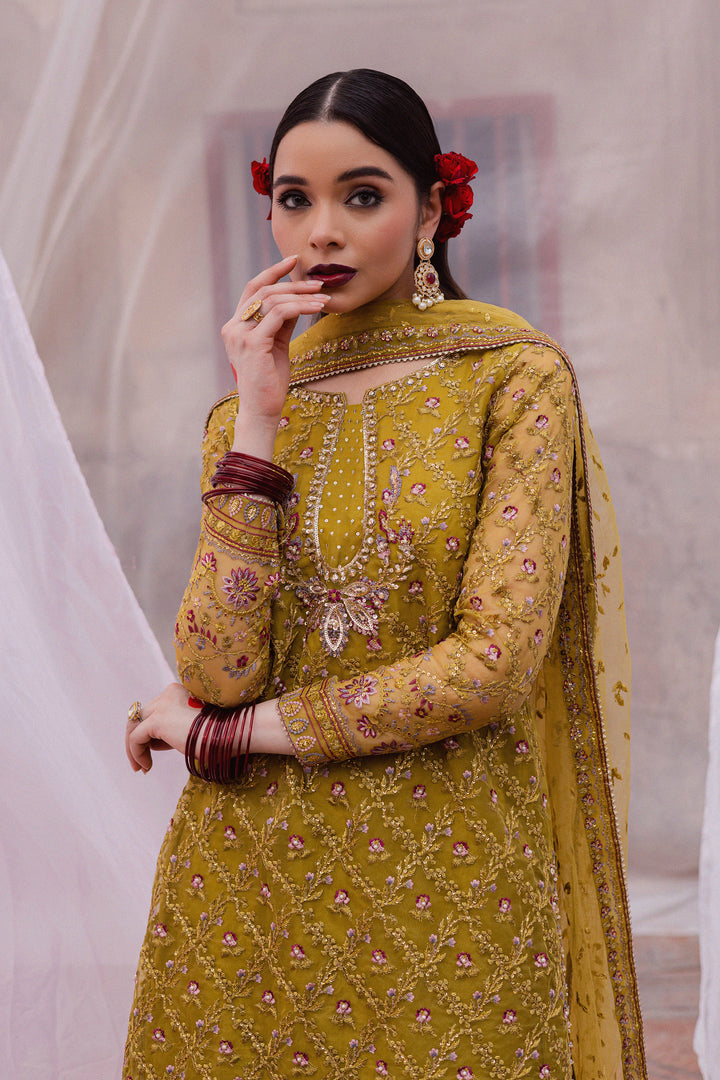 Izel 3Pc - Festive Luxe Pret