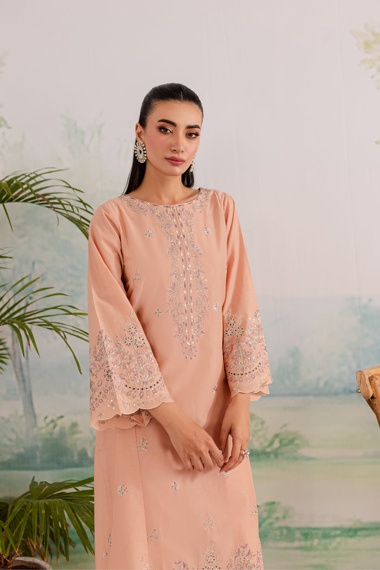 Rubeus 2Pc - Embroidered Lawn Dress - BATIK