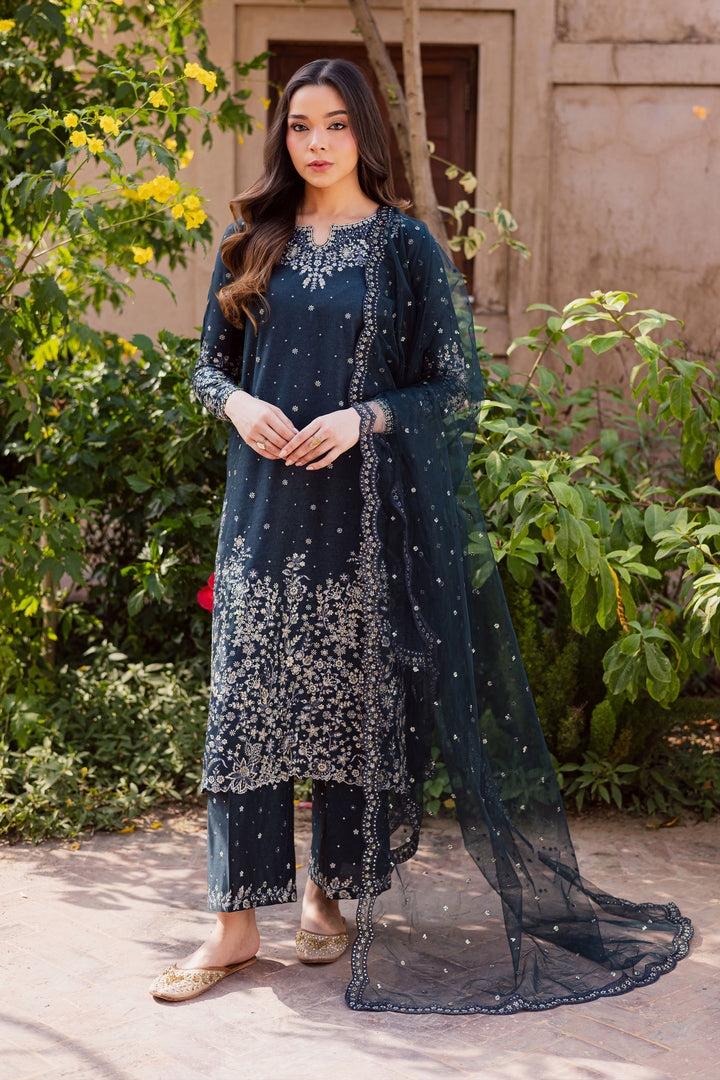 BlueBerry 3Pc - Embroidered Karandi Dress