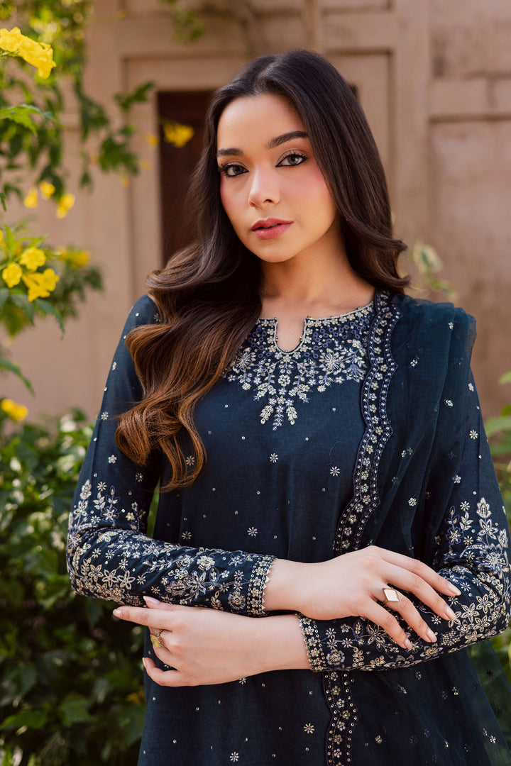 BlueBerry 3Pc - Embroidered Karandi Dress