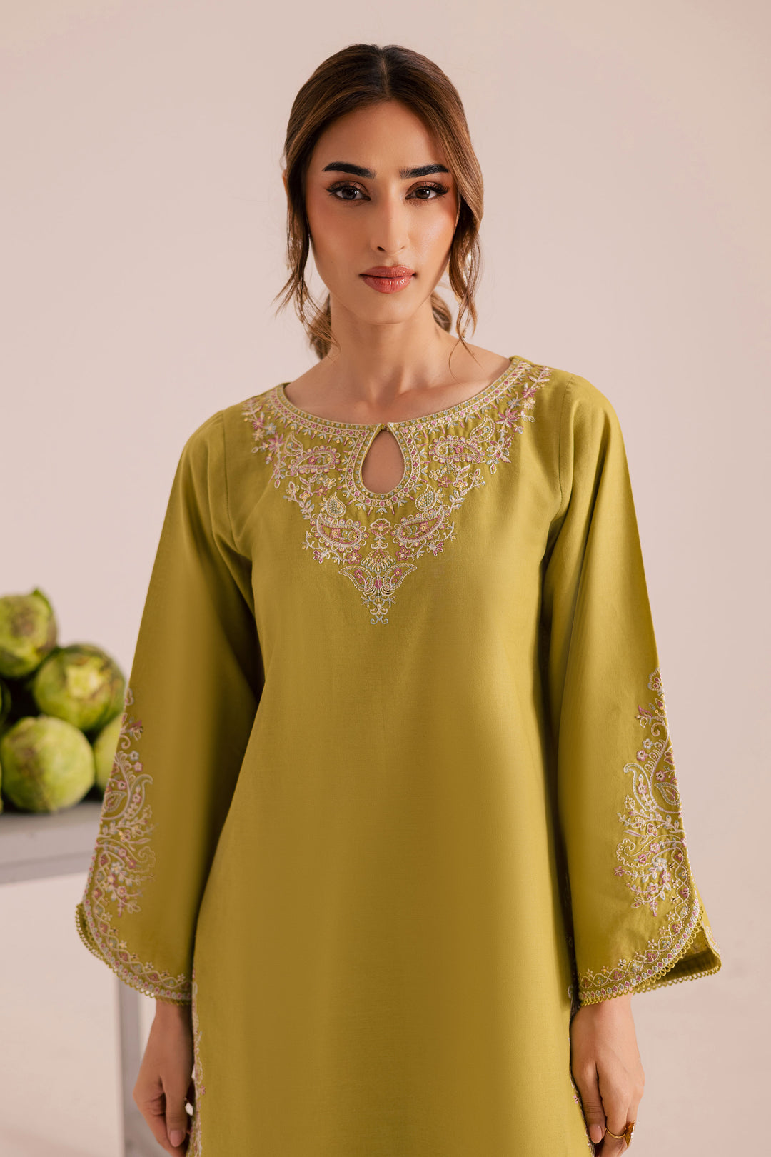 Hailstorm 2Pc - Embroidered Khaddar Dress