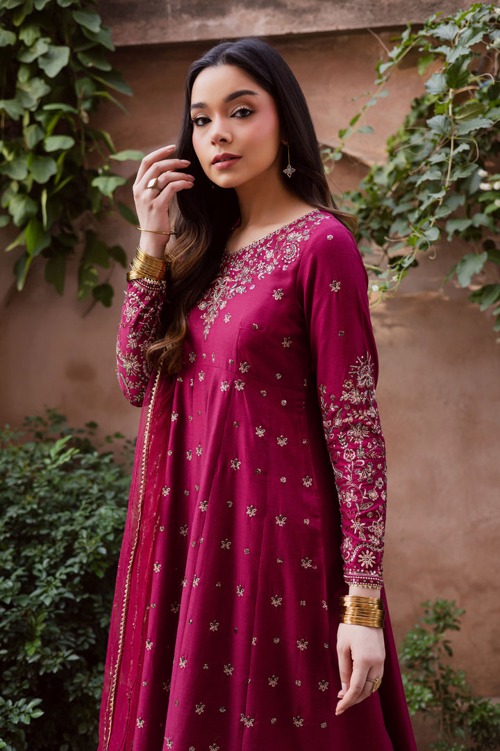 Monaar 3Pc - Embroidered Karandi Dress