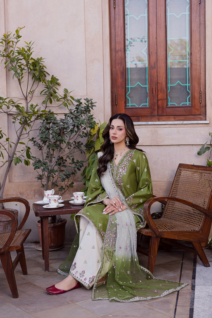  Maidah 3Pc - Festive Embroidered Lawn BATIKEID2026  BATIK   XS / Fern / Pima Lawn-S / Fern / Pima Lawn-M / Fern / Pima Lawn-L / Fern / Pima Lawn-XL / Fern / Pima Lawn