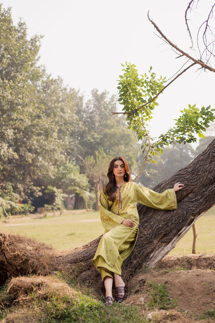  Pearly Green 2Pc - Embroidered Khaddar Dress BATIK WINTER PRET 2025  BATIK   XS / Pear Green / Khaddar-S / Pear Green / Khaddar-M / Pear Green / Khaddar-L / Pear Green / Khaddar-XL / Pear Green / Khaddar