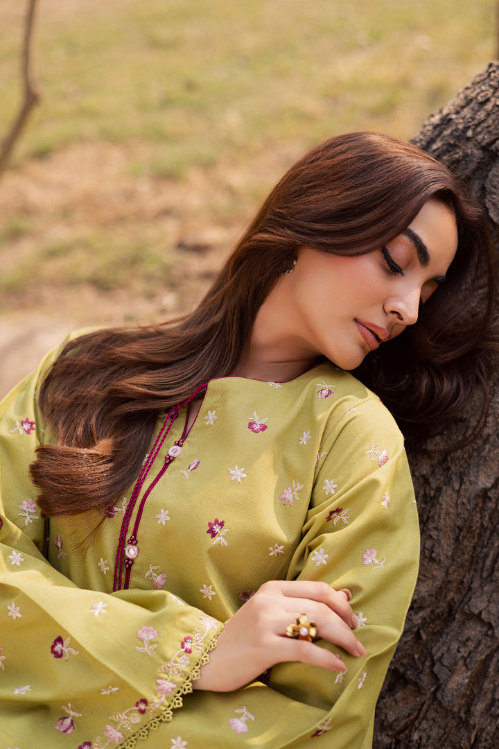  Pearly Green 2Pc - Embroidered Khaddar Dress BATIK WINTER PRET 2025  BATIK   XS / Pear Green / Khaddar-S / Pear Green / Khaddar-M / Pear Green / Khaddar-L / Pear Green / Khaddar-XL / Pear Green / Khaddar