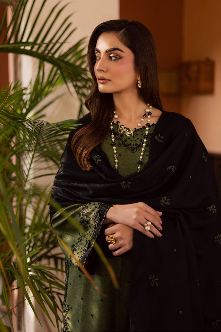  Record 3Pc - Embroidered Festive Pret BATIK WINTER PRET 2025  BATIK   XS / Green Moss / Textured Cotton-S / Green Moss / Textured Cotton-M / Green Moss / Textured Cotton-L / Green Moss / Textured Cotton-XL / Green Moss / Textured Cotton